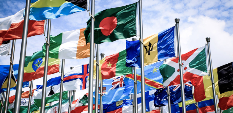 Image of Commonwealth Flags
