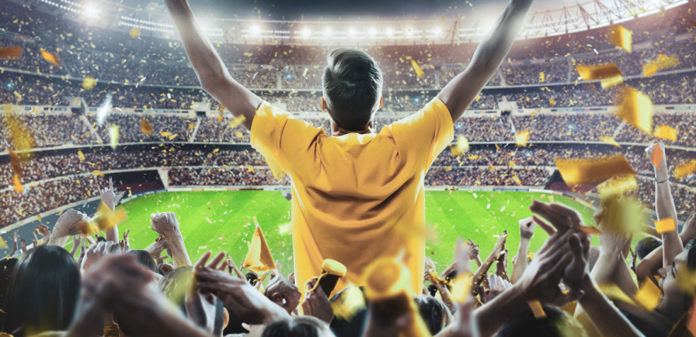 Large crowd in a lit up cricket stadium, one fan standing